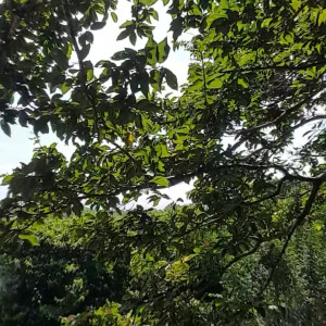 Video by scarletaddiction published on August 27,2023 04:00:00 - BestThots