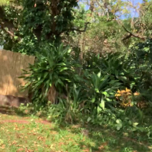 Video by scarletaddiction published on August 11,2023 17:14:00 - BestThots