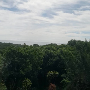 Video by scarletaddiction published on August 5,2023 07:45:00 - BestThots