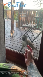 Video by scarletaddiction published on January 20,2025 17:03:06 - BestThots