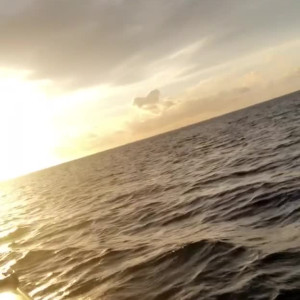 Video by anonymiss1 published on March 26,2023 01:09:00 - BestThots