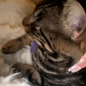 Video by kattkennedy published on May 30,2023 16:48:00 - BestThots