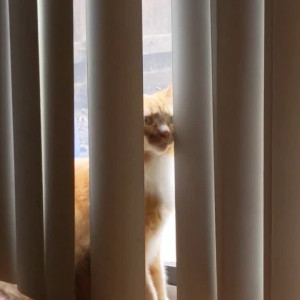 Video by athenaeeveesqueeksfree published on May 5,2023 03:33:00 - BestThots