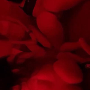 Video by itssscriiissss published on March 23,2023 12:11:00 - BestThots