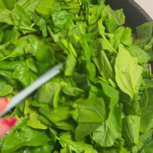 pipermaepeach #5554430