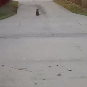 Video by lilydarro published on March 21,2023 03:07:00 - BestThots