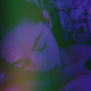 lilydarro #4929567