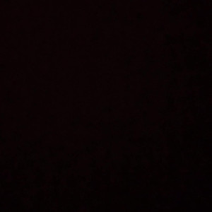 Video by lilydarro published on March 25,2023 09:39:00 - BestThots