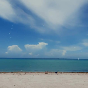 Video by thebreanakhalo published on May 27,2023 13:24:00 - BestThots