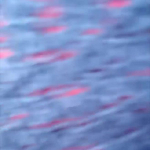 Video by liquidfirexxx published on April 17,2023 01:19:00 - BestThots