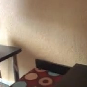 Video by liquidfirexxx published on August 3,2023 13:07:00 - BestThots