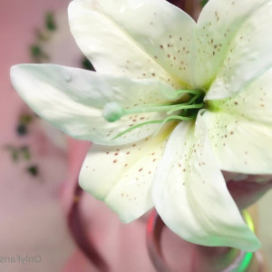 Video by aerytiefling published on July 22,2023 10:53:00 - BestThots