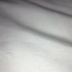 chanellysidney #4666272
