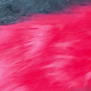 Video by nouschka published on June 13,2023 19:09:00 - BestThots