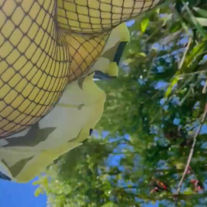 Video by nouschka published on June 4,2023 06:42:00 - BestThots