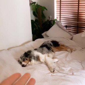 Video by ellasilver published on May 20,2023 22:20:00 - BestThots