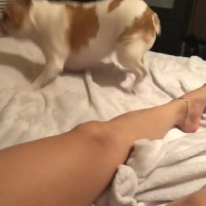 Video by lindabooxo published on June 13,2023 14:13:00 - BestThots