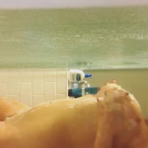 Video by helloharleyrose published on August 3,2023 10:42:00 - BestThots