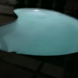 Video by marybellavita published on June 10,2023 11:53:00 - BestThots