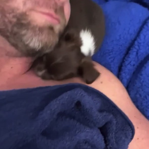Video by megadongx published on August 8,2023 11:00:00 - BestThots