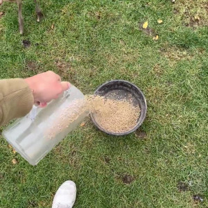 swolemattyy #3293852