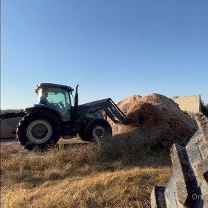 swolemattyy #3293866