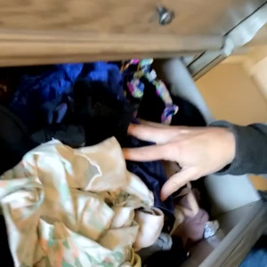 Video by mrsredwood published on August 17,2023 12:28:46 - BestThots
