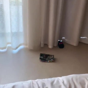 Video by kailithorne published on May 18,2023 14:04:00 - BestThots