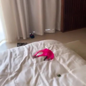 Video by kailithorne published on July 13,2023 03:44:00 - BestThots