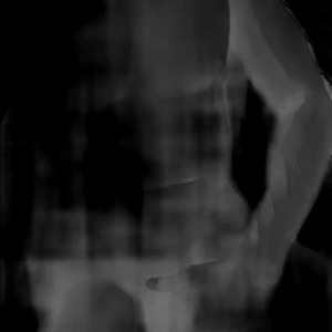 imroger_free #4741275