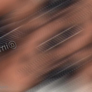 imroger_free #4842482