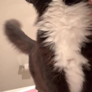 Video by georgia_c published on May 16,2023 13:49:00 - BestThots