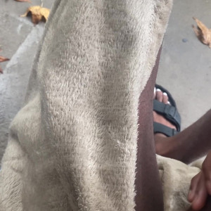Video by publicprincess published on March 1,2023 02:09:00 - BestThots