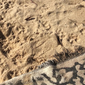 Video by publicprincess published on May 13,2023 08:28:00 - BestThots