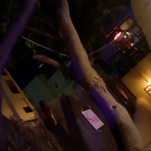 Video by sabrinadeep published on July 21,2023 00:23:00 - BestThots