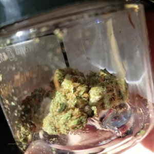 Video by tsrobinbanks published on March 26,2023 21:13:00 - BestThots
