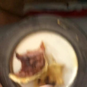 Video by stewartchris published on March 14,2023 15:28:00 - BestThots