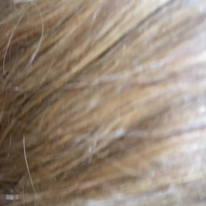 Video by tsak47 published on August 17,2023 11:04:26 - BestThots