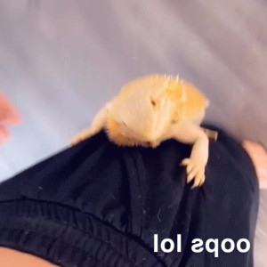 Video by honeygold published on May 6,2023 20:34:00 - BestThots