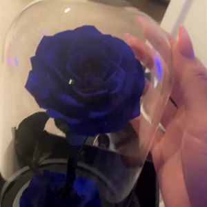 Video by honeygold published on May 2,2023 02:54:00 - BestThots
