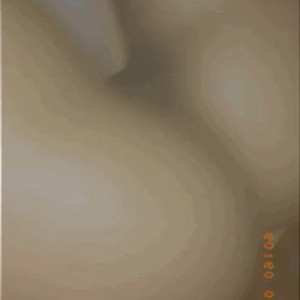 Video by honeygold published on August 3,2023 17:31:00 - BestThots