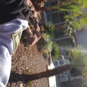 Video by honeygold published on April 7,2023 07:42:00 - BestThots
