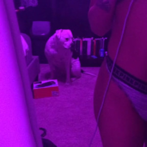 Video by honeygold published on April 9,2023 10:24:00 - BestThots