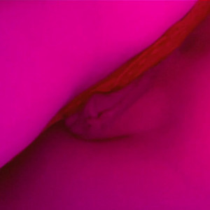 Video by hellgirrl published on May 6,2023 05:40:00 - BestThots