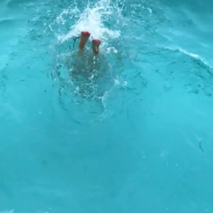 Video by avalonhopeofficial published on August 9,2023 11:40:00 - BestThots