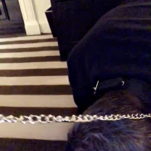 Video by goddesskaylaxo published on March 23,2023 01:43:00 - BestThots