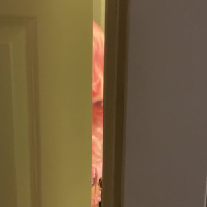 Video by softgirldiana published on April 11,2023 02:24:00 - BestThots