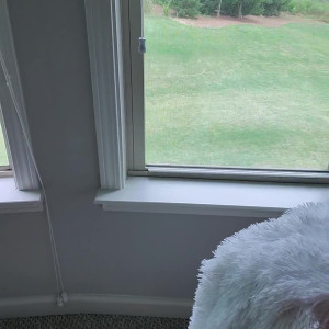 Video by tymwits published on June 2,2023 13:01:00 - BestThots