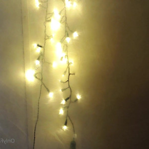Video by feedistdani published on May 29,2023 03:44:00 - BestThots
