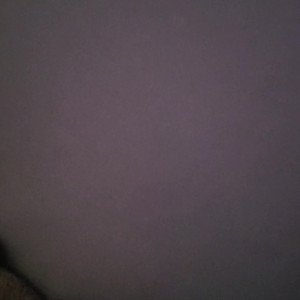Video by feedistdani published on May 31,2023 12:21:00 - BestThots